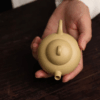 Honey Gourd Yixing Zisha Teapot Authentic Ben Shan Lu Ni Clay 3 Honey Gourd Yixing Zisha Teapot Authentic Ben Shan Lu Ni Clay 3