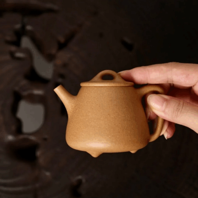 Shi Piao Yixing Teapot Authentic Duan Ni Clay2