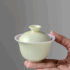 e393e71829d83b72306ecaaafd633fa8 Hand holding compact dual-color gaiwan – perfect for solo kungfu tea sessions