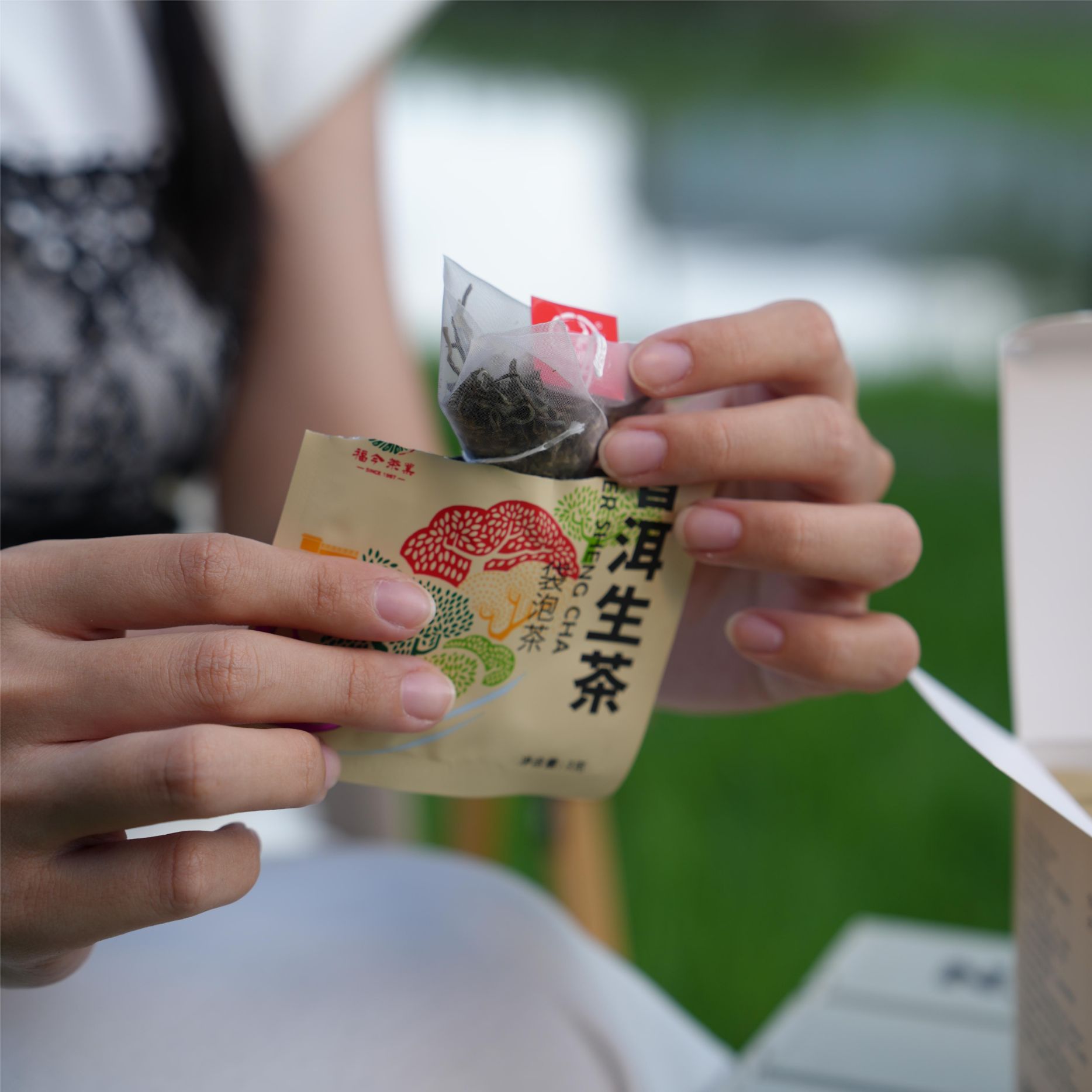 2024 Fu Jin Raw Pu Erh Tea Bag