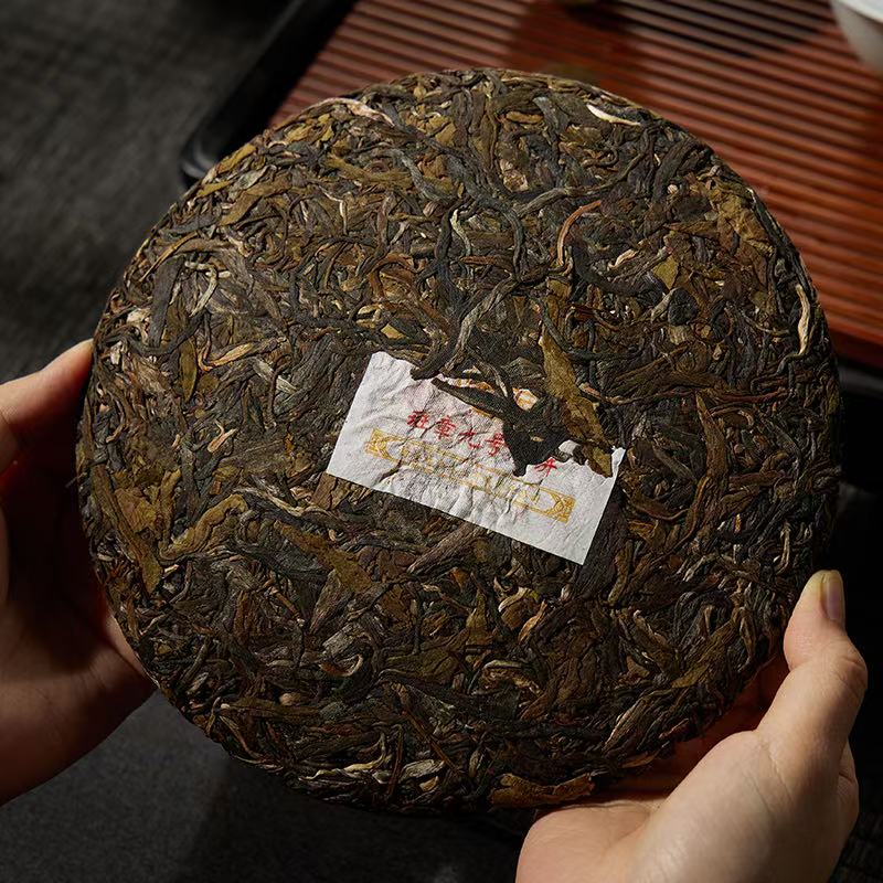 2023 Fu Jin Ban Zhang No.9 Raw Pu Erh Sampler